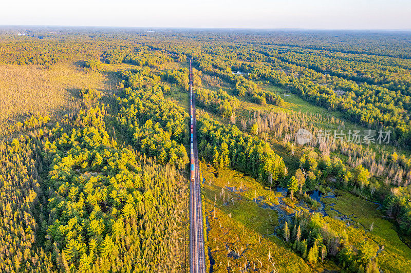 黄昏时的Muskoka Torrance Barrens Dark-Sky保护区，Gravenhurst，加拿大